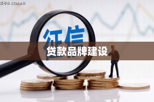 天涯贷款品牌建设