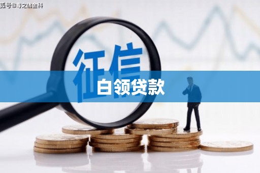 天涯白领贷款
