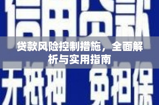 天涯贷款风险控制措施，全面解析与实用指南
