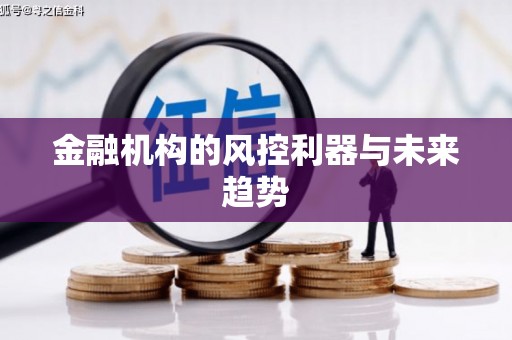 天涯金融机构的风控利器与未来趋势