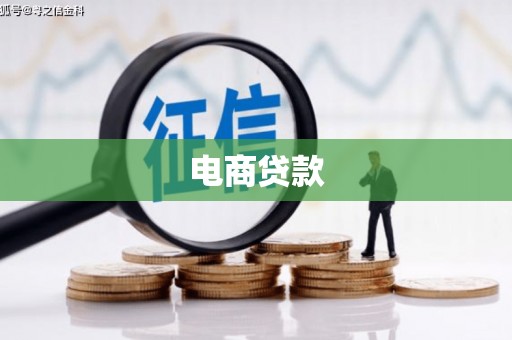 天涯电商贷款