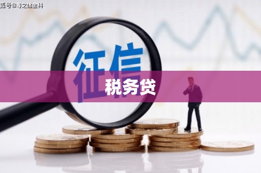 天涯税务贷