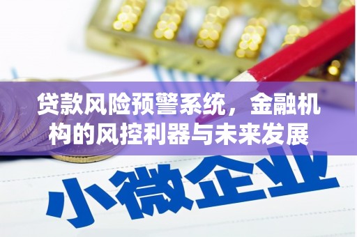 天涯贷款风险预警系统，金融机构的风控利器与未来发展