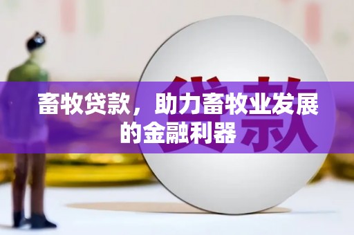 天涯畜牧贷款，助力畜牧业发展的金融利器