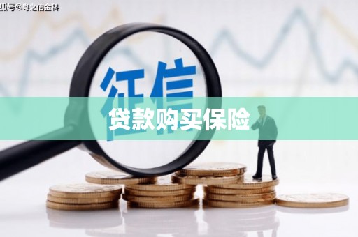天涯贷款购买保险
