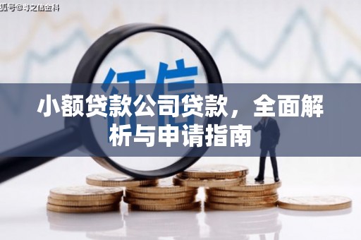 天涯小额贷款公司贷款，全面解析与申请指南
