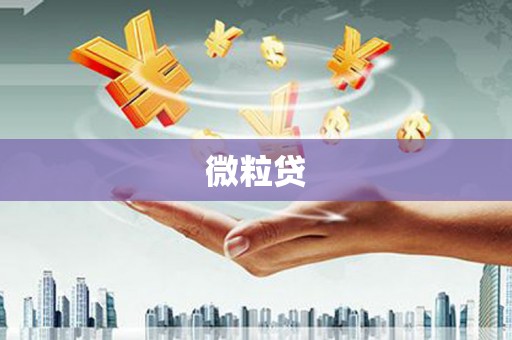 天涯微粒贷