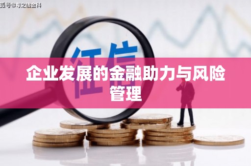 天涯企业发展的金融助力与风险管理