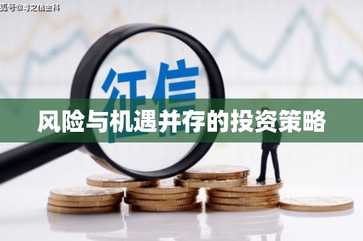 天涯风险与机遇并存的投资策略