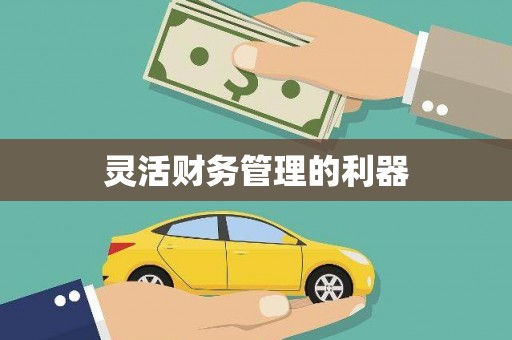 天涯灵活财务管理的利器