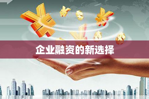天涯企业融资的新选择