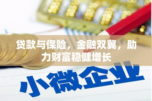 天涯贷款与保险，金融双翼，助力财富稳健增长