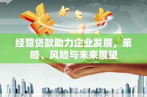 天涯经营贷款助力企业发展，策略、风险与未来展望