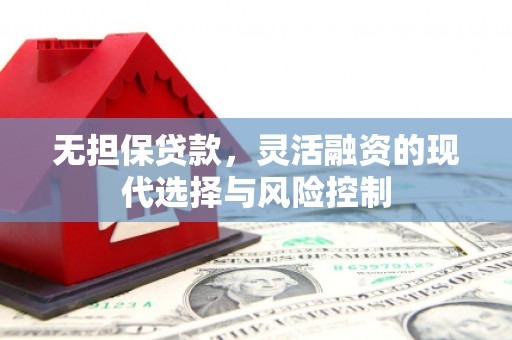 天涯无担保贷款，灵活融资的现代选择与风险控制