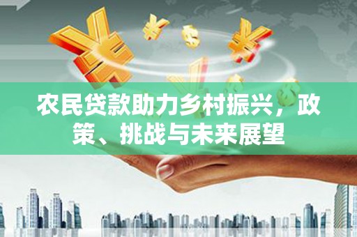 天涯农民贷款助力乡村振兴，政策、挑战与未来展望