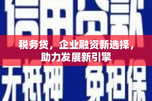 天涯税务贷，企业融资新选择，助力发展新引擎