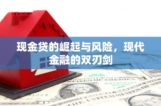 天涯现金贷的崛起与风险，现代金融的双刃剑