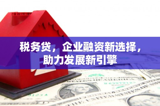 天涯税务贷，企业融资新选择，助力发展新引擎