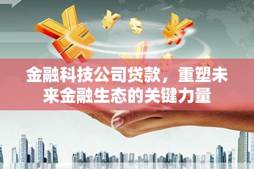 天涯金融科技公司贷款，重塑未来金融生态的关键力量