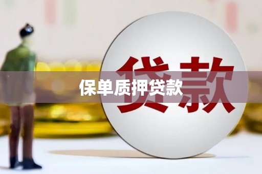 天涯保单质押贷款