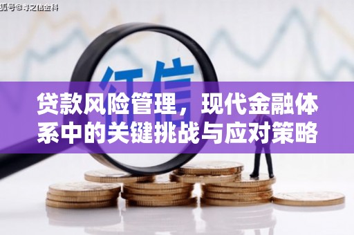 天涯贷款风险管理，现代金融体系中的关键挑战与应对策略