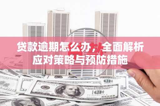 天涯贷款逾期怎么办，全面解析应对策略与预防措施