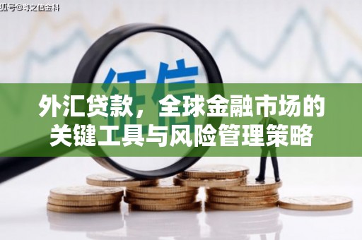 天涯外汇贷款，全球金融市场的关键工具与风险管理策略