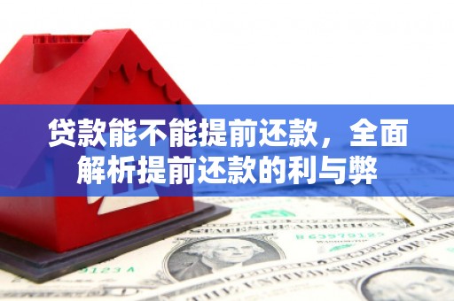 天涯贷款能不能提前还款，全面解析提前还款的利与弊
