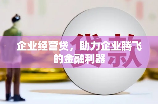 天涯企业经营贷，助力企业腾飞的金融利器