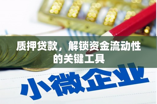 天涯质押贷款，解锁资金流动性的关键工具