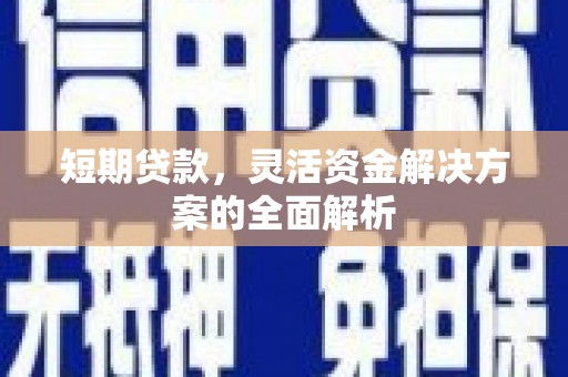天涯短期贷款，灵活资金解决方案的全面解析