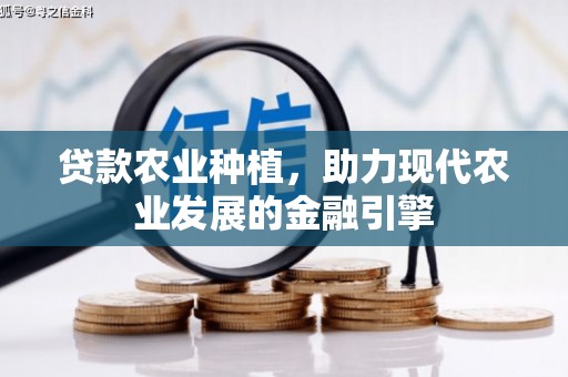 天涯贷款农业种植，助力现代农业发展的金融引擎