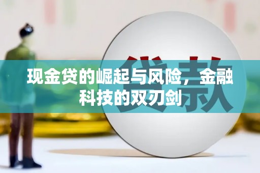 天涯现金贷的崛起与风险，金融科技的双刃剑