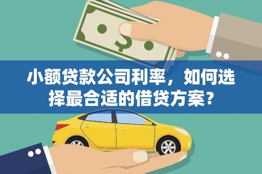 天涯小额贷款公司利率，如何选择最合适的借贷方案？