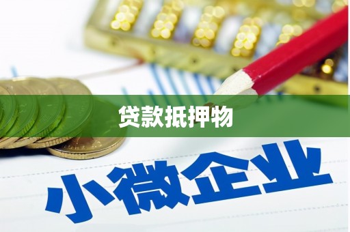 天涯贷款抵押物