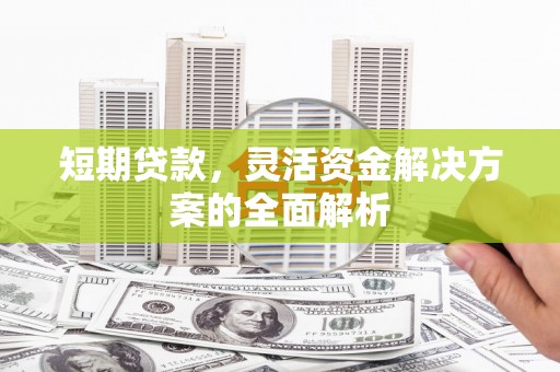 天涯短期贷款，灵活资金解决方案的全面解析
