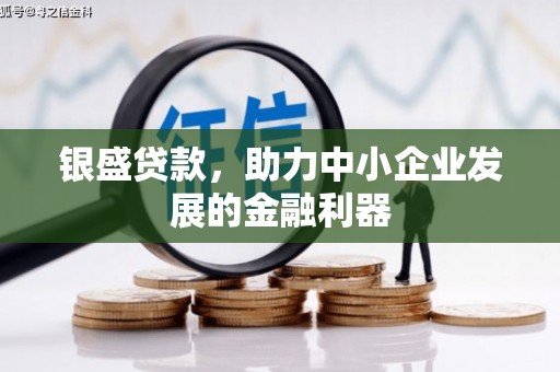 天涯银盛贷款，助力中小企业发展的金融利器