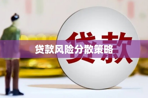 天涯贷款风险分散策略