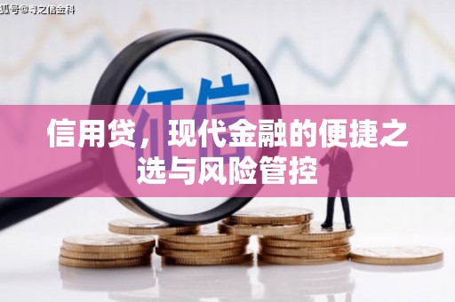 天涯信用贷，现代金融的便捷之选与风险管控