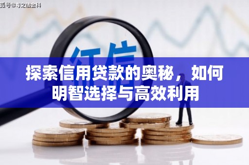 天涯探索信用贷款的奥秘，如何明智选择与高效利用