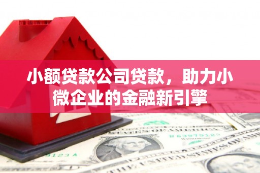 天涯小额贷款公司贷款，助力小微企业的金融新引擎
