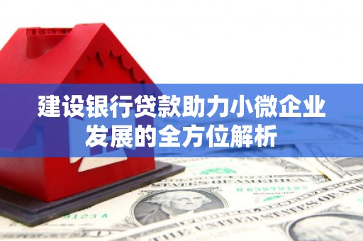 天涯建设银行贷款助力小微企业发展的全方位解析