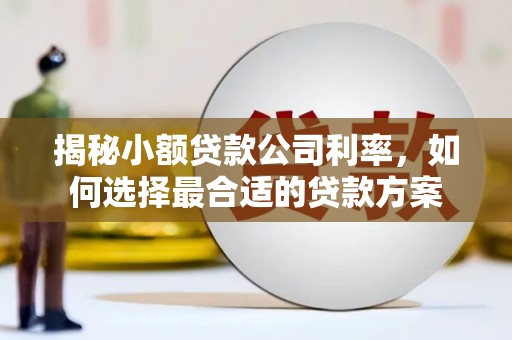 天涯揭秘小额贷款公司利率，如何选择最合适的贷款方案