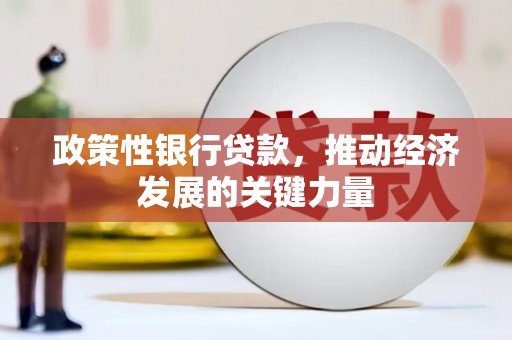 天涯政策性银行贷款，推动经济发展的关键力量