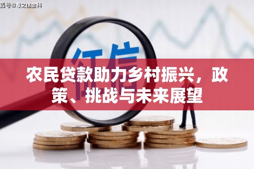 天涯农民贷款助力乡村振兴，政策、挑战与未来展望
