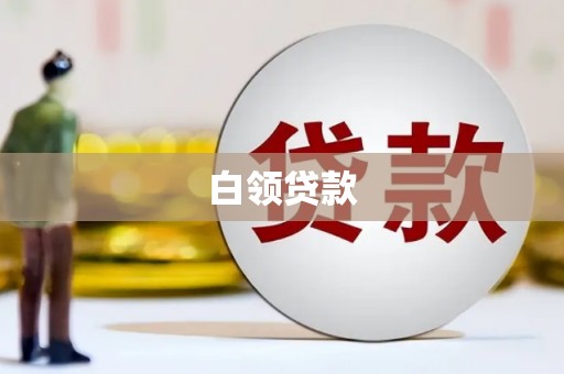 天涯白领贷款