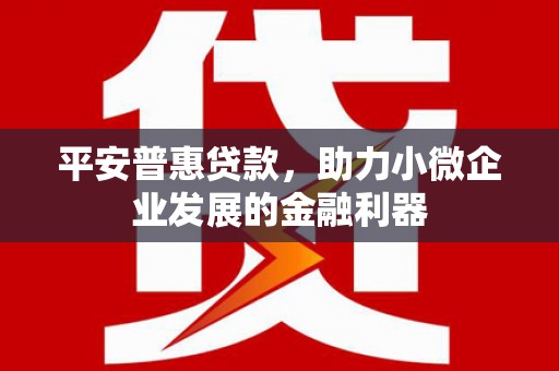 天涯平安普惠贷款，助力小微企业发展的金融利器