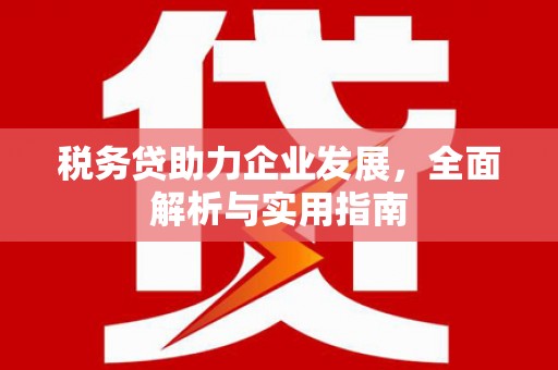天涯税务贷助力企业发展，全面解析与实用指南