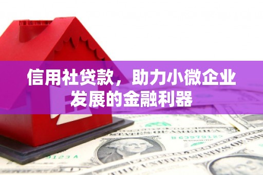天涯信用社贷款，助力小微企业发展的金融利器