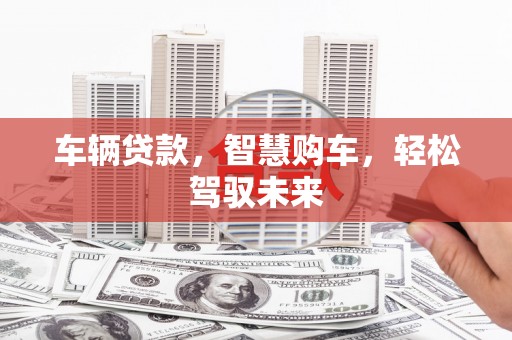 天涯车辆贷款，智慧购车，轻松驾驭未来